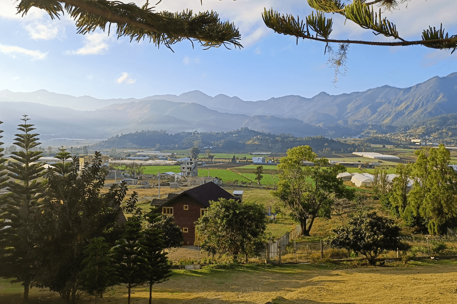 Cultivated fields and greenhouses across the Constanza valley beneath surrounding mountains in morning light.